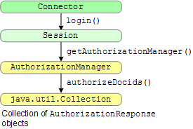 Authorization interfaces